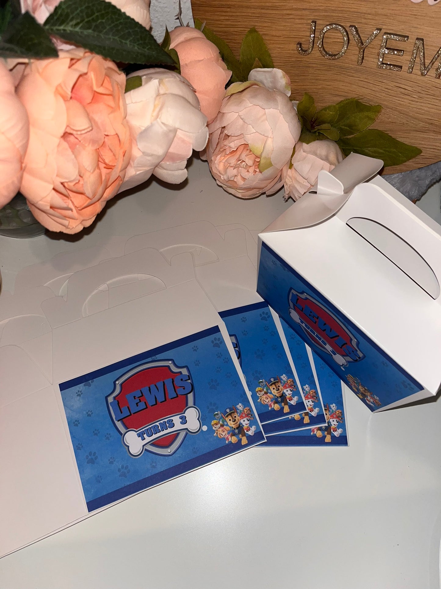 Party Favour Boxes - Pack of 10