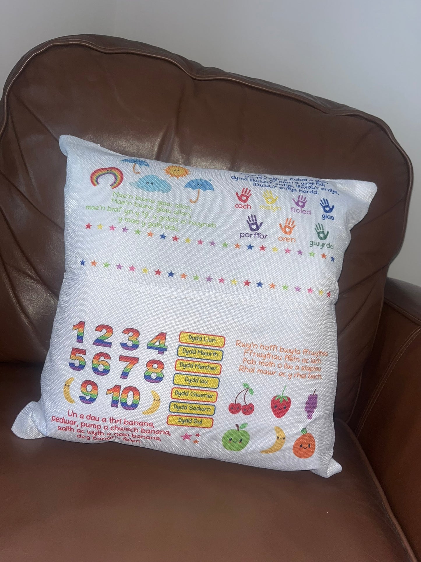 Welsh Cushion Cover