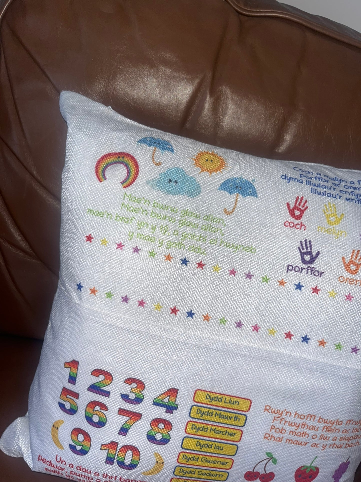 Welsh Cushion Cover
