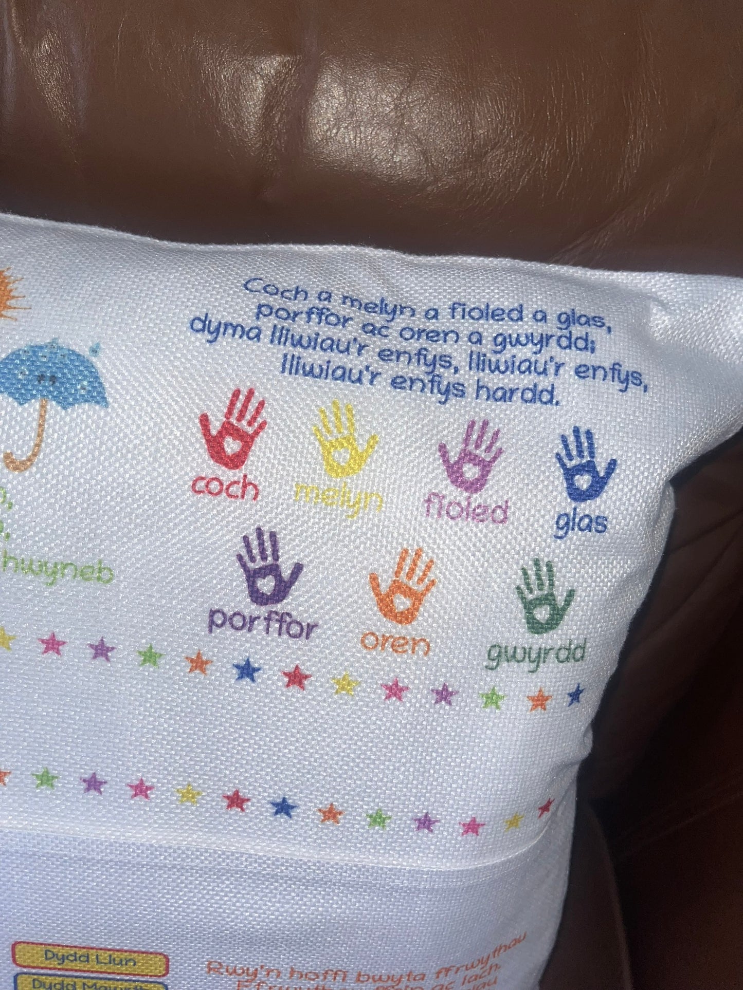 Welsh Cushion Cover